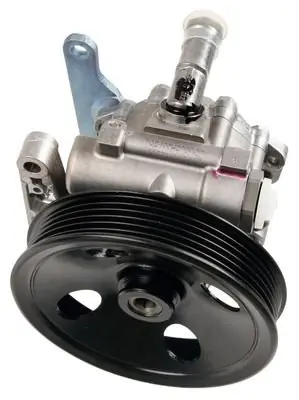 Bezpieczna płatność Pompa hydrauliczna, układ kierowniczy BOSCH K S00 000 621